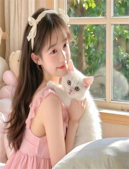 视频会议系统-热血高校 电影